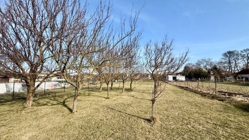 * 7i rodinný dom, veľký 33.5á pozemok, Brestovany - Záhrada s ovocnými stromami pri rodinnom dome na ulici Joža Nižnanského v Brestovanoch.