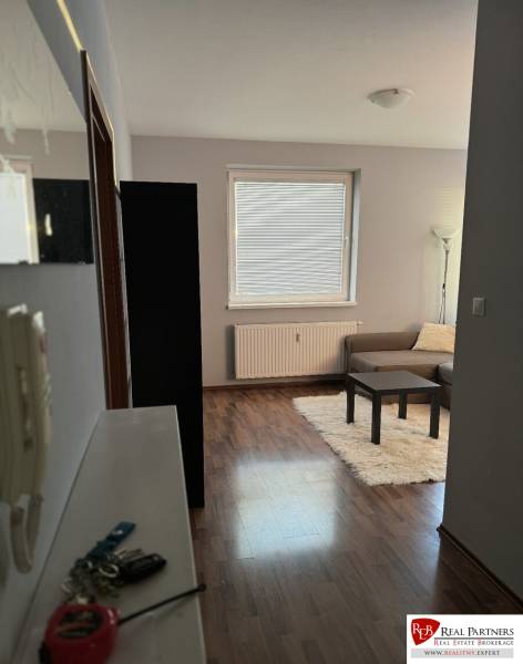 Prenájom 2-izb byt v uzavretom areáli Bratislava II - Obývacia izba 2-izbového bytu s podlahou s dreveným dekorom, pohovkou a kobercom.