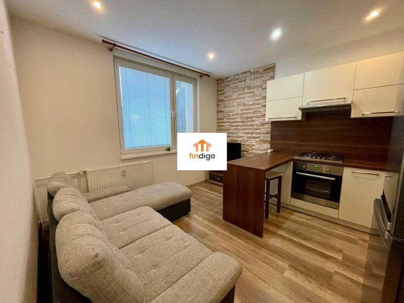 PRENÁJOM - 1-izbový priestranný byt byt - Klokočina, Škultétyho - Obývacia izba s kuchynským kútom, rohovou sedačkou a podlahou s dreveným dekorom v 1-izbovom byte.