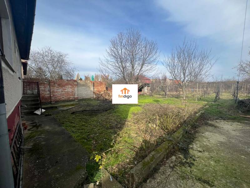 PREDAJ - 3-izbový rodinný dom po kompletnej interiérovej rekonštrukcii - Záhrada pri rodinnom dome v Šuranoch, na ulici Na Vŕšku, s ovocnými stromami.