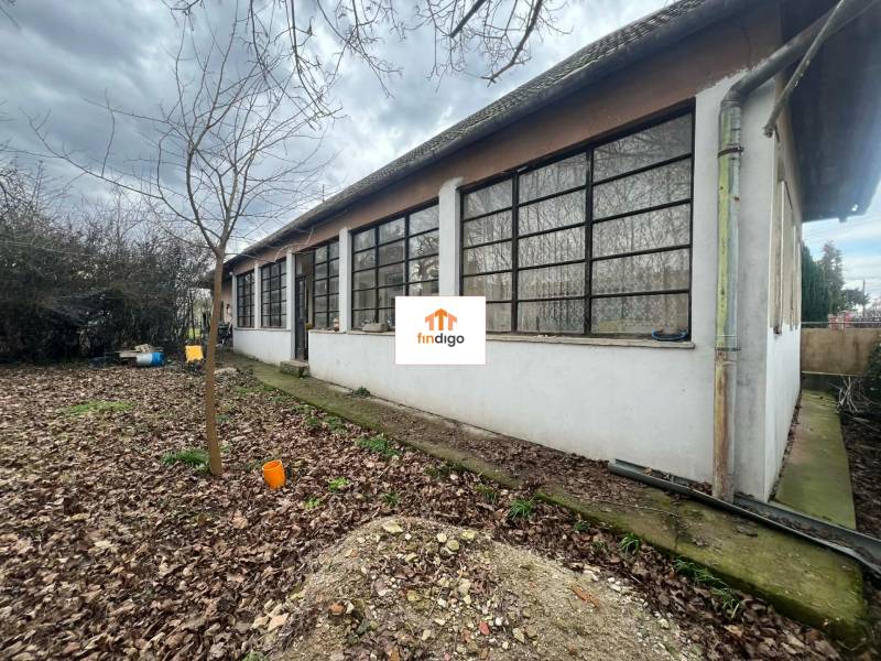 PREDAJ - Rodinný dom na rekonštrukciu s veľkým pozemkom – Kuraľany - Rodinný dom v Kuraľanoch s veľkými oknami a listnatou záhradou v jesennom období.