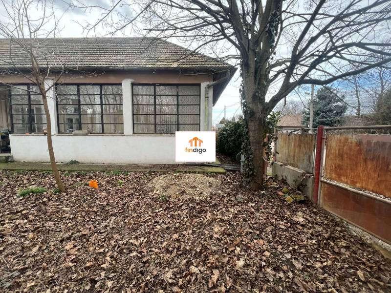 PREDAJ - Rodinný dom na rekonštrukciu s veľkým pozemkom – Kuraľany - Rodinný dom v Kuraľanoch so stromami a listami na zemi, vedľa starého plotu.