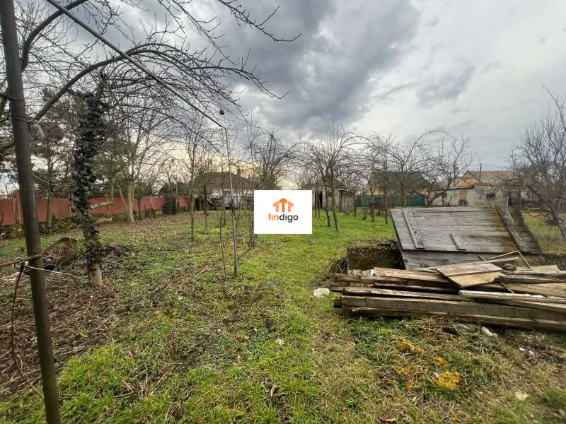 PREDAJ - Rodinný dom na rekonštrukciu s veľkým pozemkom – Kuraľany - Záhrada pri rodinnom dome v Kuraľanoch, s ovocnými stromami a drevenými panelmi.