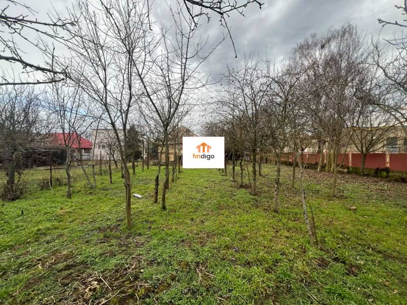 PREDAJ - Rodinný dom na rekonštrukciu s veľkým pozemkom – Kuraľany - Rodinný dom v Kuraľanoch s rozľahlou záhradou a ovocnými stromami.