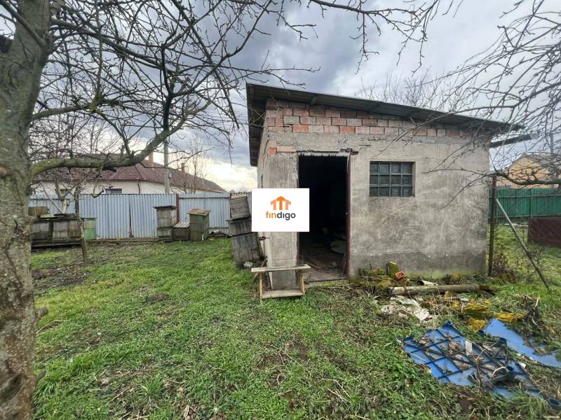 PREDAJ - Rodinný dom na rekonštrukciu s veľkým pozemkom – Kuraľany - Záhrada s menšou kôlňou a úľmi v rodinnom dome v Kuraľanoch.