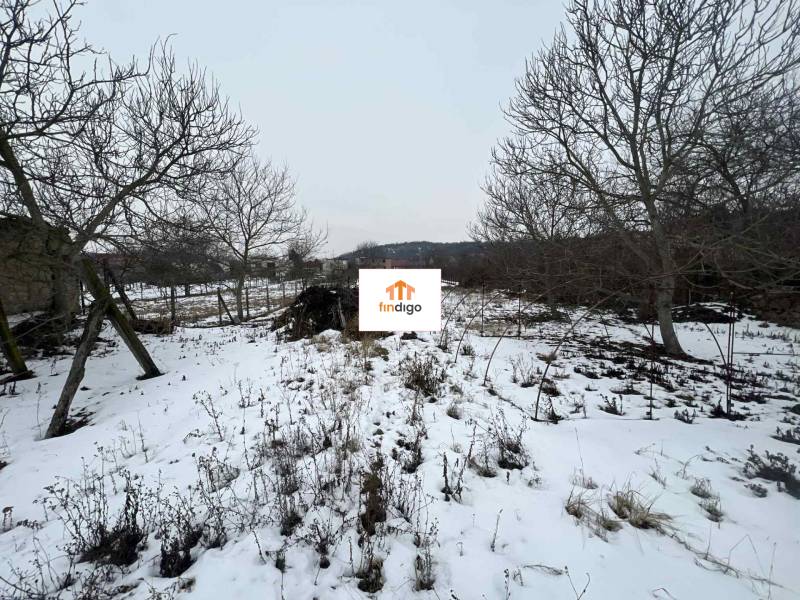 PREDAJ - Rodinný dom v obci Kamenica nad Hronom – len 5 km od Štúrova - Zasnežená záhrada v Kamenici nad Hronom pri rodinnom dome s holými stromami a krovím.