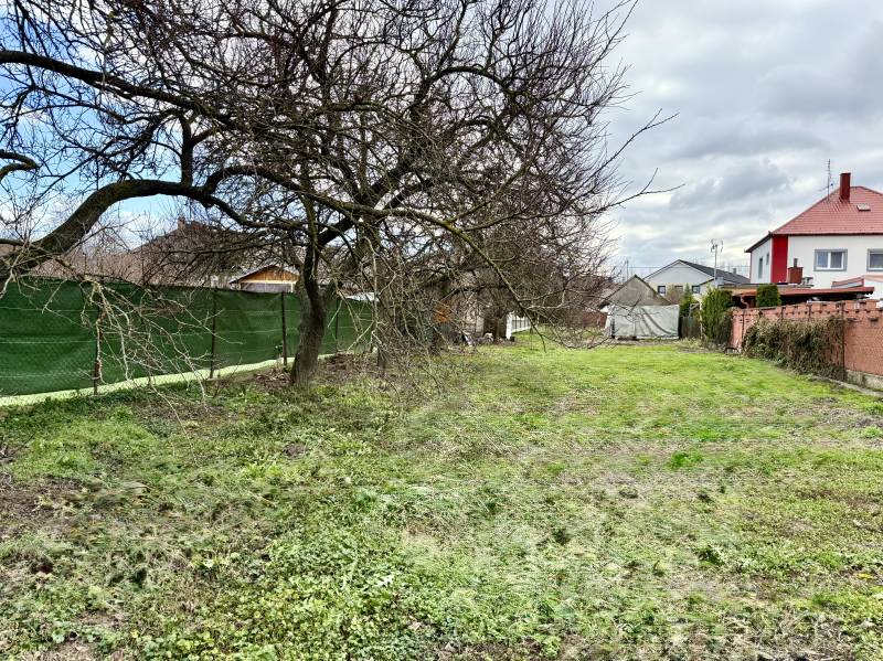 Na predaj pozemok 1065 m2, obec Dobrohošť v blízkosti Bratislavy - Záhrada s trávnikom a stromami v Dobrohošti na ulici Dobrohošť, vhodná pre pozemky - bývanie.