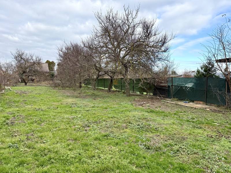 Na predaj pozemok 1065 m2, obec Dobrohošť v blízkosti Bratislavy - Zeleň a stromy na pozemku pre bývanie v Dobrohošti na ulici Dobrohošť.