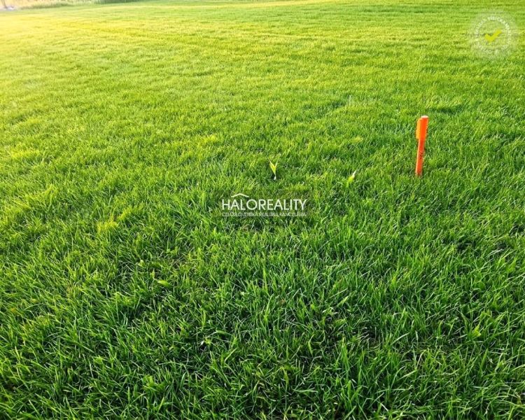 Predaj, rekreačný pozemok Nálepkovo, 760 m2 - EXKLUZ...
