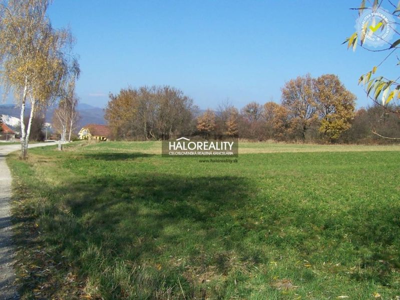 Predaj, pozemok pre rodinný dom 7430 m2 Oslany - E...