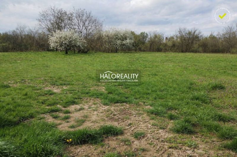 Predaj, pozemok pre rodinný dom 982 m2 Jur nad Hronom