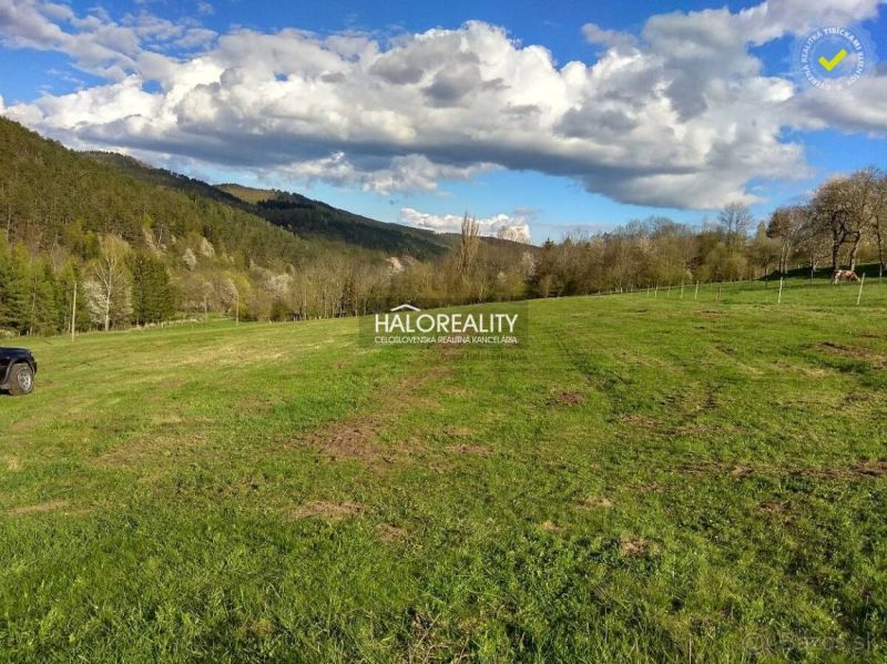Predaj, pozemok pre rodinný dom   1000 m2 Horný Tiso... - Trávnatý pozemok s výhľadom na lesy v Hornom Tisovníku, ideálny pre bývanie.