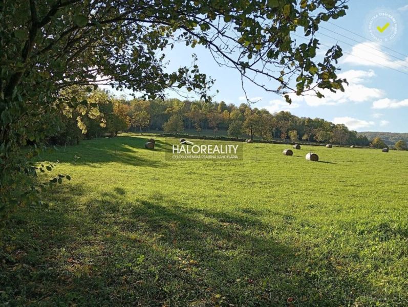 Predaj, pozemok pre rodinný dom   1000 m2 Horný Tiso... - Zelené pozemky na bývanie v Hornom Tisovníku so stromami a balíkmi sena na lúke.