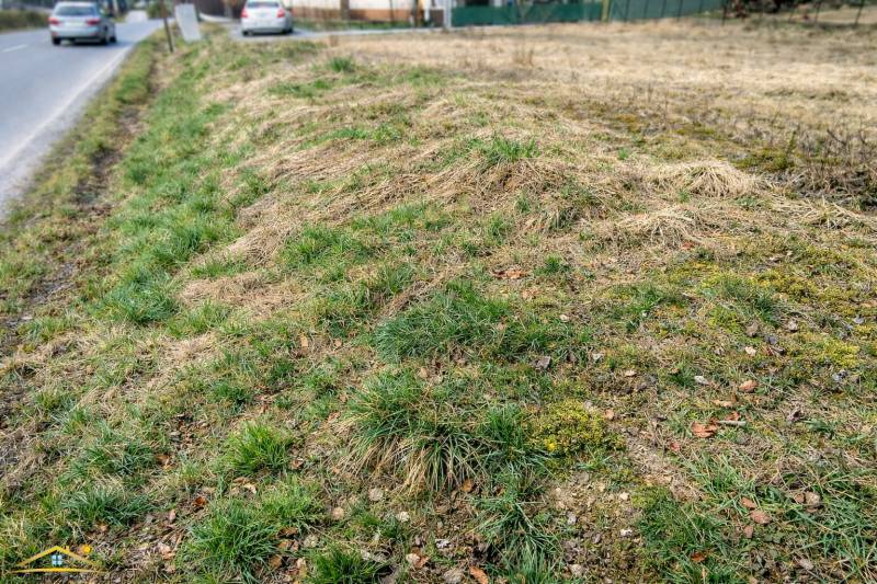 Stavebný pozemok Korňa – 822 m², siete pri pozemku - Pozemky - bývanie v Korni s trávnatou plochou pri ceste.
