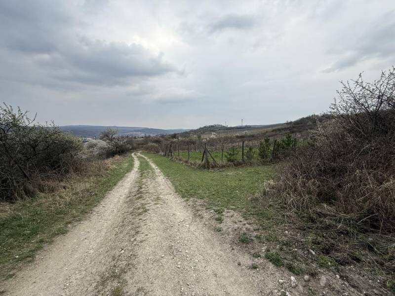 Oplotený obrábaný vinohrad so studňou a kontajnerom. - Zasnežená cesta na Rekreačných pozemkoch, Fajgalská cesta v Pezinku, obklopená vegetáciou a oplotením.