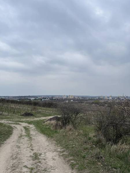 Oplotený obrábaný vinohrad so studňou a kontajnerom. - Prírodná cesta medzi vinicami na Rekreačných pozemkoch pri Pezinku na Fajgalskej ceste.