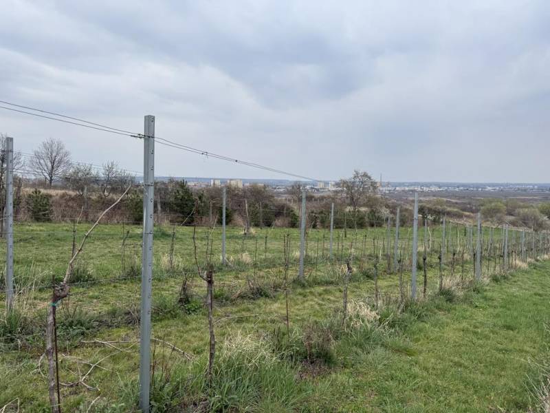 Oplotený obrábaný vinohrad so studňou a kontajnerom. - Vinica na rekreačných pozemkoch na Fajgalskej ceste v Pezinku, s výhľadom na mesto.