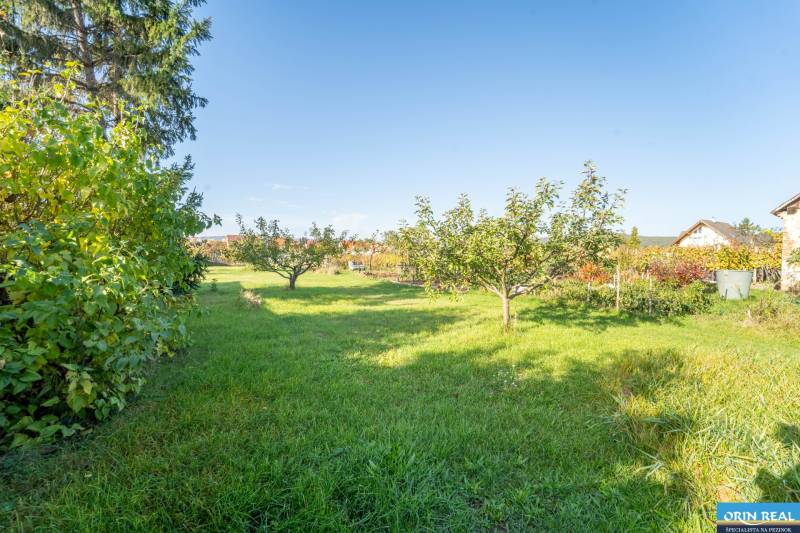 RD PO REKONŠTRUKCII spolu so STAVEBNÝM POZEMKOM na druhý dom - takmer  - Záhradný pozemok rodinného domu na Kupeckého ulici v Pezinku, s ovocnými stromami a trávnikom.