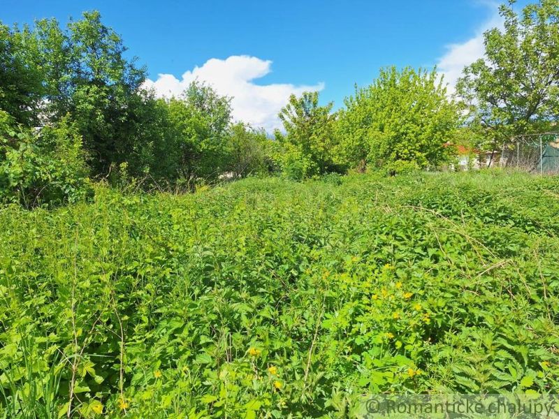 Čarovná záhrada 715 m2 v malebnej obci Nová Vieska