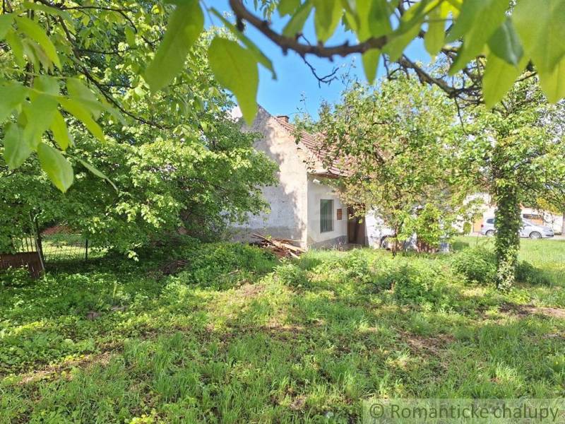 Pôvodný domček v obci Nová Vieska - Rodinný dom v Novej Vieske s okolitou zeleňou a pokojným prostredím.