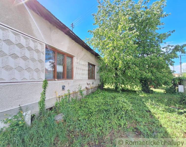 Pôvodný domček v obci Nová Vieska - Rodinný dom v Nových Zámkoch obklopený zeleňou a stromom.