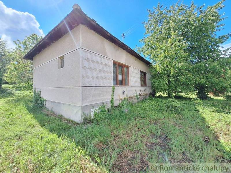 Pôvodný domček v obci Nová Vieska - Rodinný dom v Novej Vieske obklopený zeleňou a veľkým stromom.