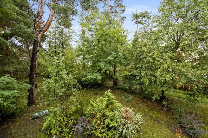 NA PREDAJ CHATA V REKREAČNEJ OBLASTI RUDAVA, OBEC MALÉ LEVÁRE - Záhrada s lavičkou obklopená stromami pri chate v Malých Levároch.