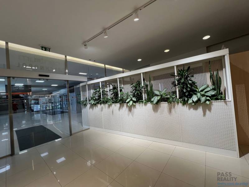 PRENÁJOM exkluzívnych priestorov 318 m2 TECHNOPOL, Kutlíkova ul. - Rastliny na mriežkovanej stene v obchodných priestoroch s lesklou podlahou.