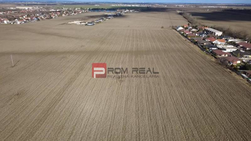 INVESTIČNÁ PRÍLEŽITOSŤ – Pozemok v obci Dunajská Lužná - Poľnohospodárske a lesné pozemky pri Dunajskej Lužnej s viditeľnou zástavbou v pozadí.
