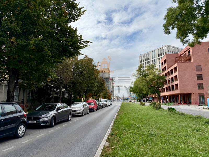 PRENÁJOM 1 izbový byt, 40 M2, Bratislava, Ružinov, Košická ulica, NIVY - Ulica v Bratislava - Ružinov lemovaná stromami, autá zaparkované vedľa cesty.