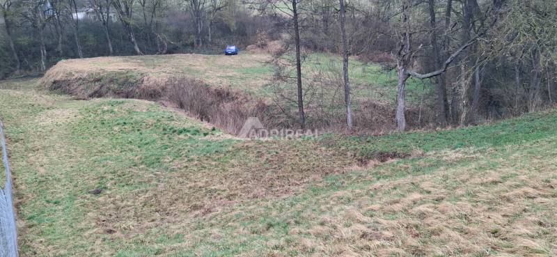 Na predaj: pozemok - Sliač, Sampor, 2.914 m2; 93.000€ - Zelená lúka na pozemkoch pre bývanie v meste Sliač, na ulici Sampor.
