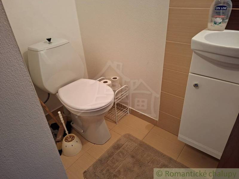 Veľkorysý 10-árový pozemok, slnečná nehnuteľnosť, priestranné bývanie  - Kúpeľňa v rodinnom dome s toaletou a umývadlom na podlahe s dreveným dekorom.