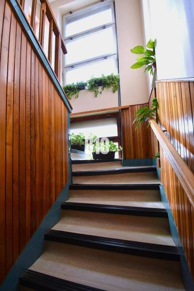 5 izbový  rodinný dom vo Varíne - Schodisko v rodinnom dome s drevenými obkladmi a rastlinami na parapete.