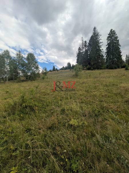 Stavebný pozemok kúsok od lyžiarskych vlekov Čierny Balog - Bexeľ - Súčasťou pozemkov na bývanie v Čiernom Balogu je lúka so stromami na svahu.