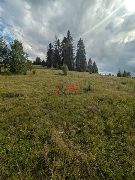 Stavebný pozemok kúsok od lyžiarskych vlekov Čierny Balog - Bexeľ - Pozemky - bývanie v Čiernom Balogu ponúkajú široké zelené lúky a vysoké ihličnany.