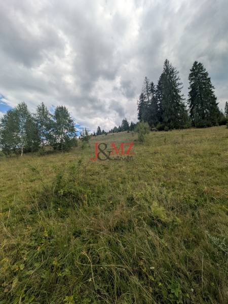 Stavebný pozemok kúsok od lyžiarskych vlekov Čierny Balog - Bexeľ - Kopcovitá krajina so stromami a trávou vhodná na pozemky - bývanie, Čierny Balog.