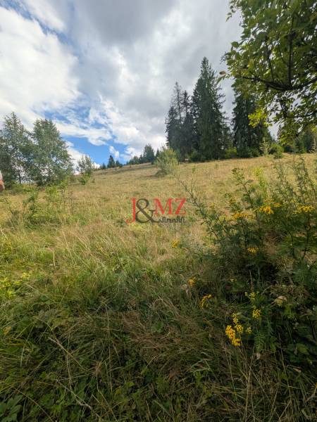 Stavebný pozemok kúsok od lyžiarskych vlekov Čierny Balog - Bexeľ - Pozemok - bývanie v Čiernom Balogu s lúkami a stromami pod oblačnou oblohou.