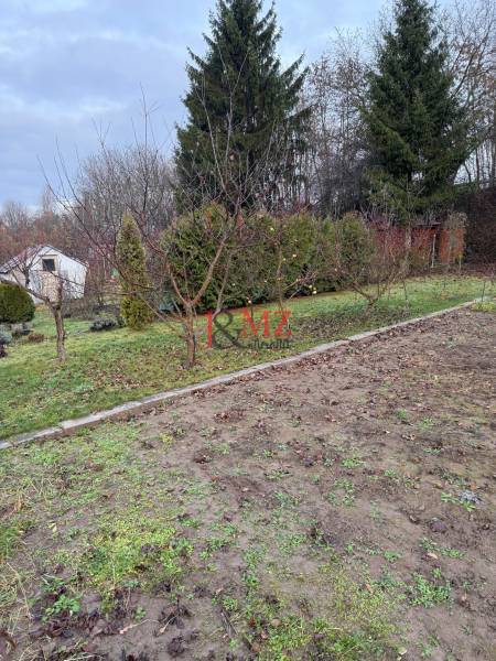 Záhrada Levice - Podhradie 311m2 - Záhrada na Podhradí v Leviciach s ovocnými stromami a ihličnany. Jesenné lístie na zemi.