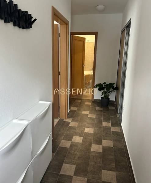 - PRENÁJOM - 2 IZBOVÝ BYT - DOLNÁ UL. - STARÉ MESTO - Chodba v 2-izbovom byte s podlahou tmavého dekoru a rastlinou v rohu.