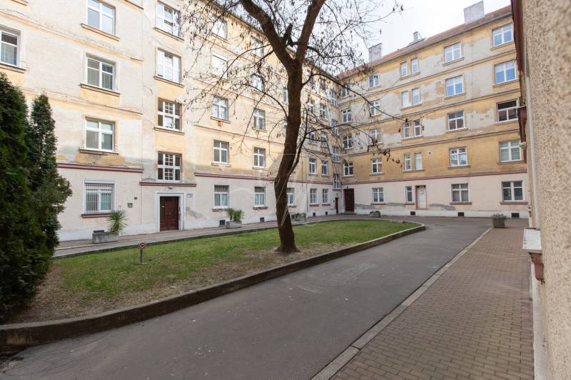 Priestranný 4-izbový byt s predzáhradkou, Staré Mesto - Obytný komplex so stromom a trávnikom na Medenej ulici v Bratislave, Staré Mesto.