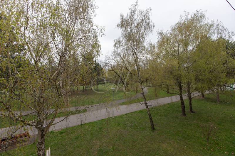 2-izbový byt s balkónom, Ružinov – Ostredky - Park so stromami a chodníkmi v Bratislave - Ružinove na Planétach.