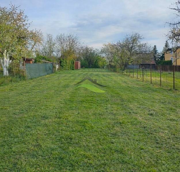 Kvalitná Murovaná NOVOSTAVBA blízko mesta - v Zalužiciach  - Záhrada v Michalovciach pri rodinnom dome s pokoseným trávnikom a stromami.
