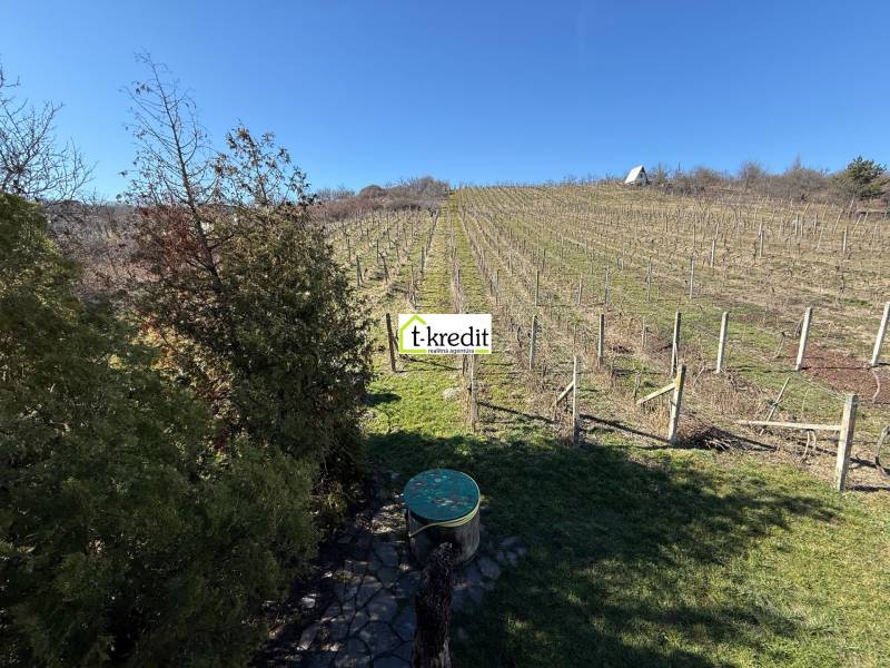 PREDAJ - CHATA S VINICOU - ZLATÉ MORAVCE - V Zlatých Moravciach sa nachádza vinica s chatou a upravenou záhradou.