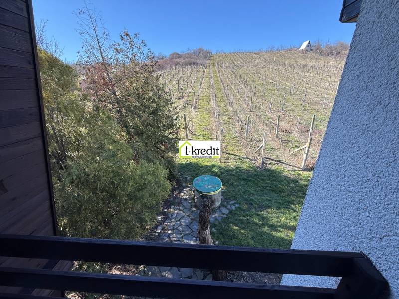 PREDAJ - CHATA S VINICOU - ZLATÉ MORAVCE - Výhľad z chaty na vinicu v Zlatých Moravciach s drevinami a modrou oblohou.