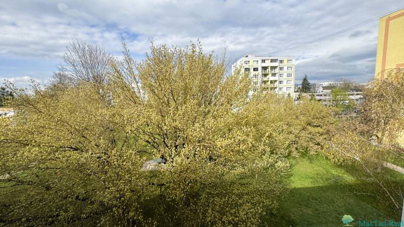 REZERVOVANÉ  3-izbový byt | Škultétyho ulica,  77,4 m², Trebišov. , - Výhľad na zelený dvor zo Škultétyho ulice v Trebišove, obklopený stromami.