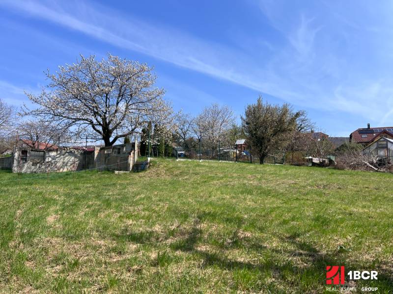STAVEBNÝ POZEMOK S DUŠOU LEN PÁR MINÚT OD BRATISLAVY V OBCI MARIANKA - Rozkvitnuté stromy a trávnatá plocha na pozemku pre bývanie v Marianke na Budovateľskej ulici.