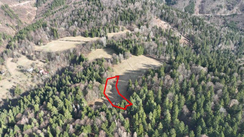 Lazy pod Makytou – Rekreačný pozemok na chatku / mobilný domček - Lúky a lesy v Lazy pod Makytou sa rozprestierajú medzi hustými stromami.