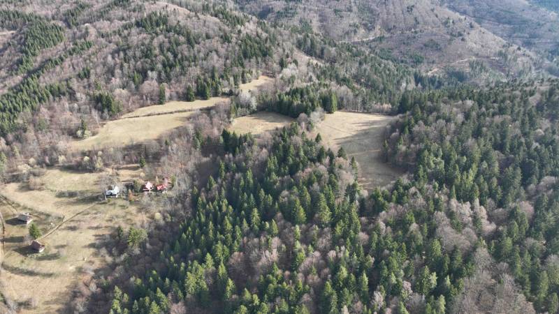 Lazy pod Makytou – Lesný pozemok - Kopcovitá krajina, kde Poľnohospodárske a lesné pozemky pri Lazoch pod Makytou splývajú s hustými lesmi.