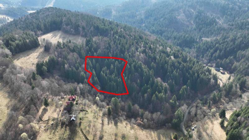 Lazy pod Makytou – Lesný pozemok - Husté lesy s označenou parcelou v poľnohospodárskych a lesných pozemkoch Lazy pod Makytou.