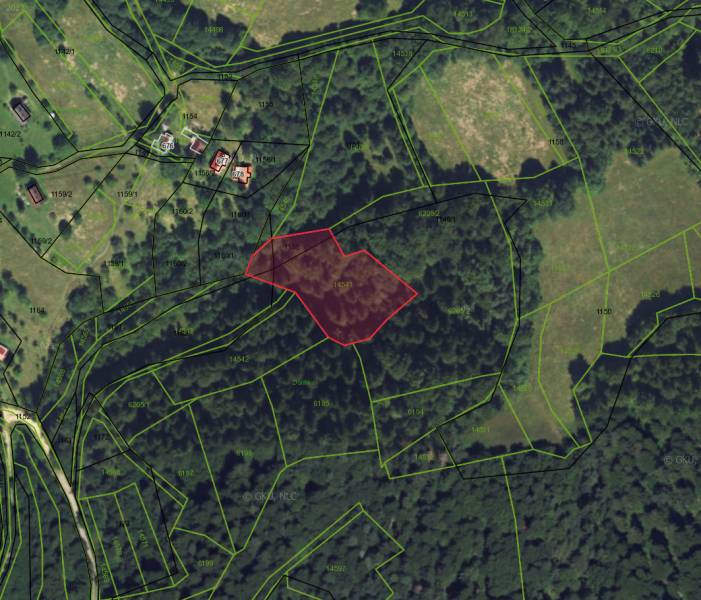 Lazy pod Makytou – Lesný pozemok - Satelitná mapa poľnohospodárskych a lesných pozemkov v Lazy pod Makytou, s vyznačenou parcelou.